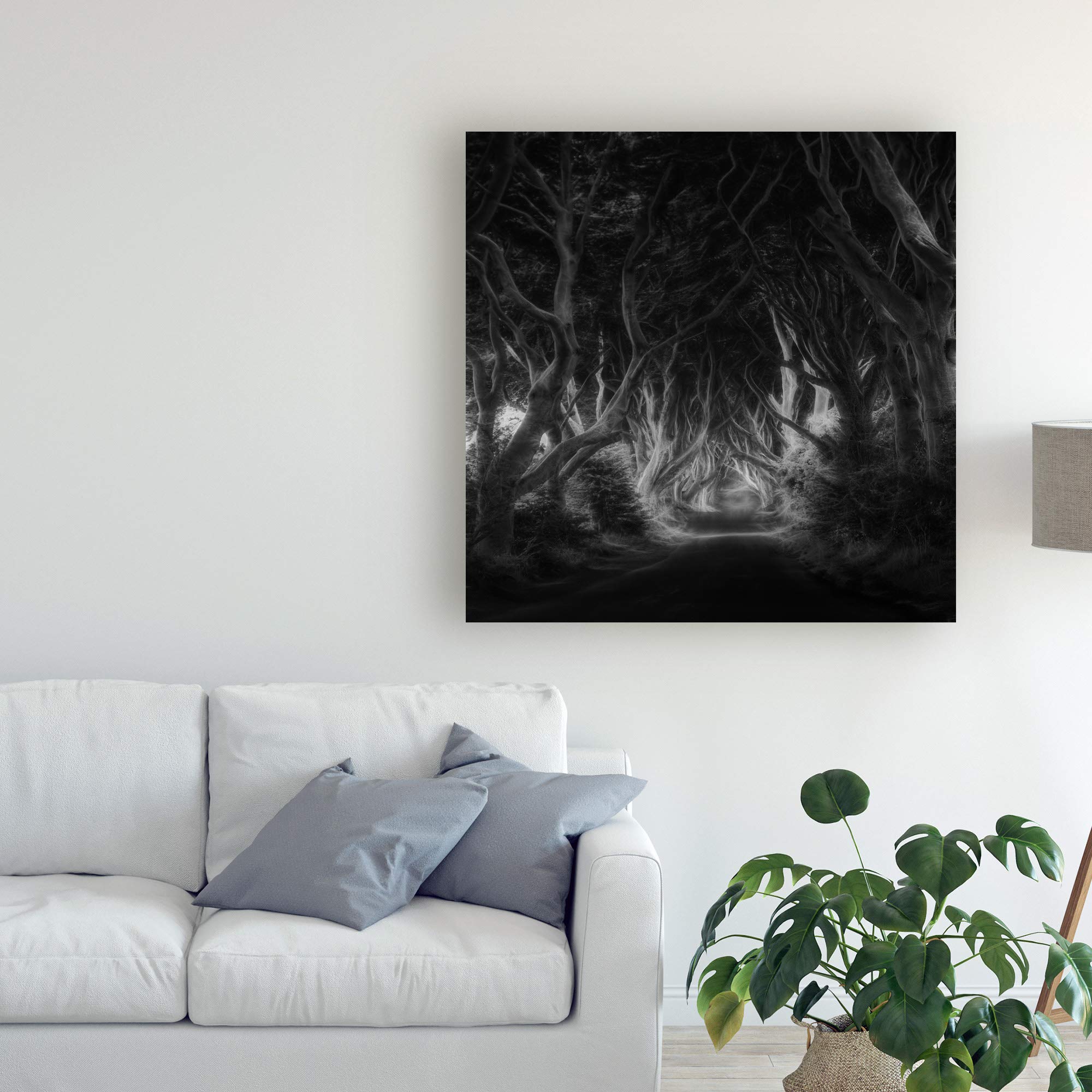Trademark Fine Art 18x18 The Dark Hedges Bewitched by Saskia Dingemans - Gothic Landscape Wall Art for Home Decor, Office & Living Room