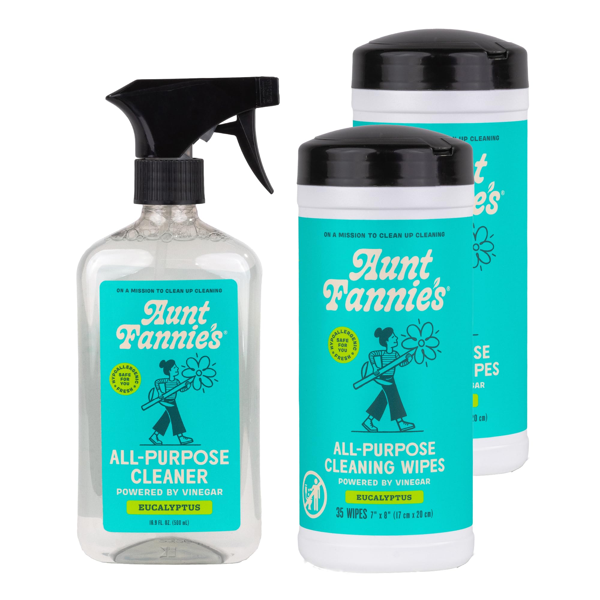 Aunt Fannie's Eucalyptus Vinegar Cleaning Kit - Spray & Wipes for Home Cleaning