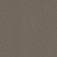 Rocky Leather