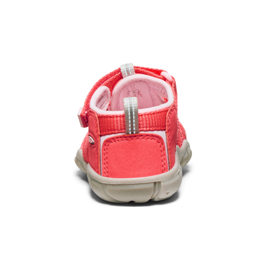 Toddlers' Seacamp II CNX Water Shoes | Dubarry/Giggle Pink | Non-Slip Beach & Pool Shoes for Kids