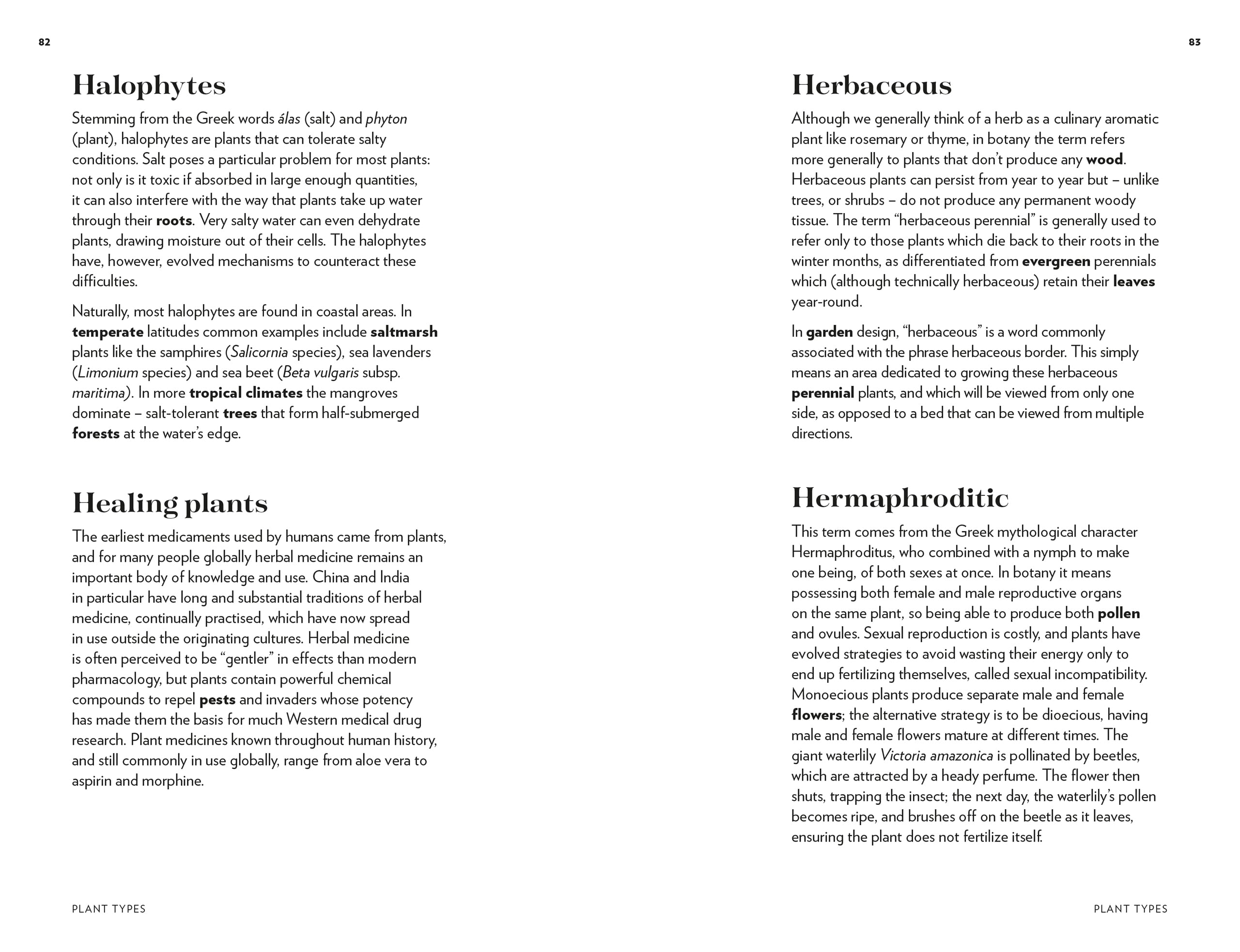 Kew - Plant Words: 250 Unique Botanical Terms for Plant Enthusiasts | Royal Botanic Gardens, Kew | Perfect for Gardeners, Botanists & Nature Lovers