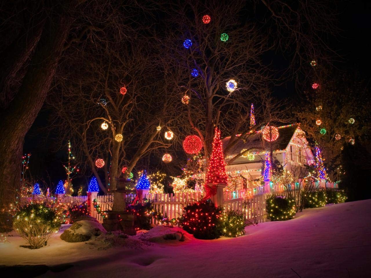 Notch Outdoor Tree Lighting Kit - Waterproof LED String Lights for Patio, Garden, and Backyard Decor (30ft, Warm White) | Perfect for Christmas, Weddings, and Landscape Lighting