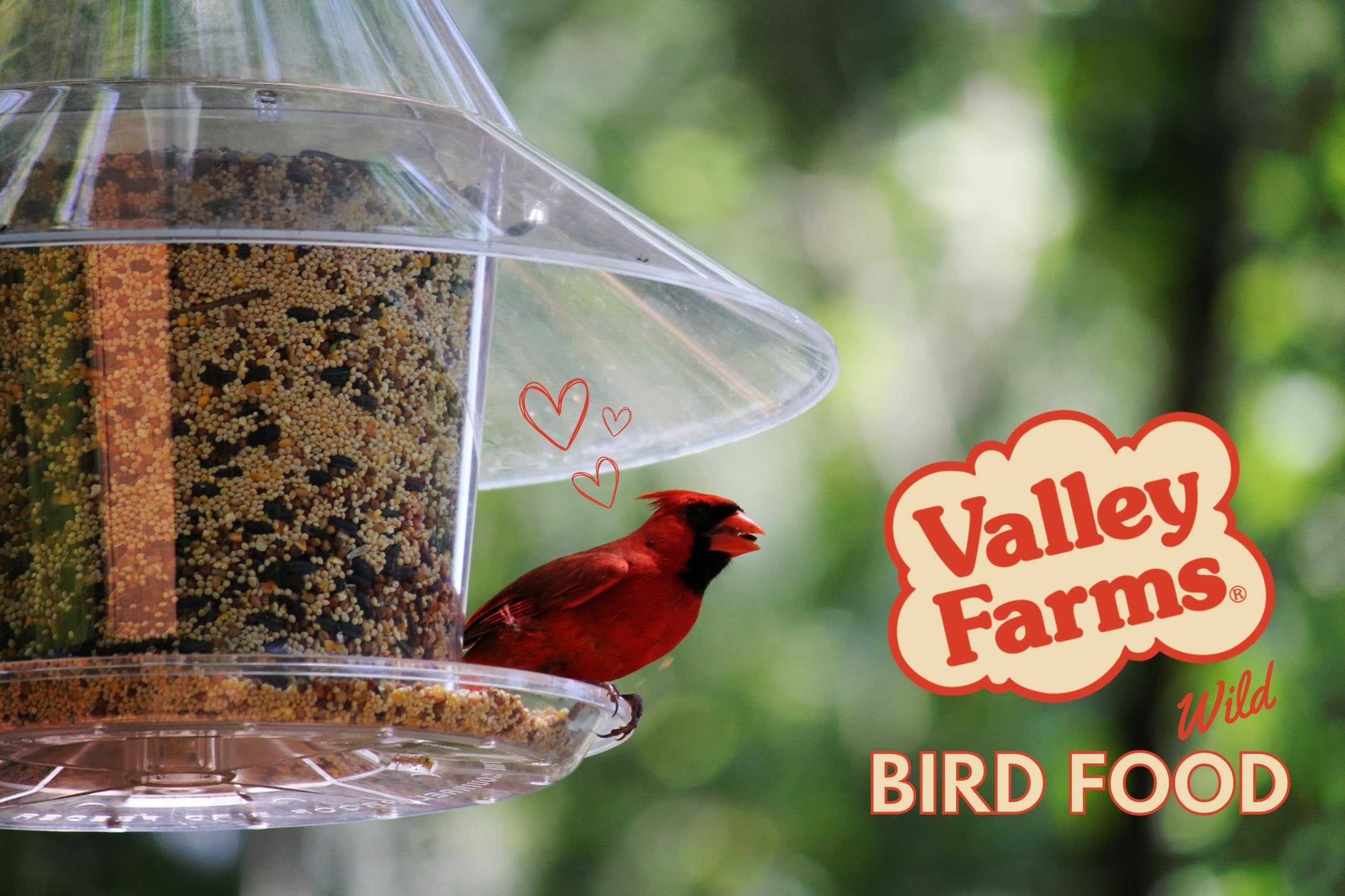 Hi-Flite Premium Wild Bird Food - 20 LB Bag of Nutritious Seed Mix for All Bird Species | Attracts Cardinals, Finches & More | Ideal for Outdoor Bird Feeders & Backyard Bird Watching