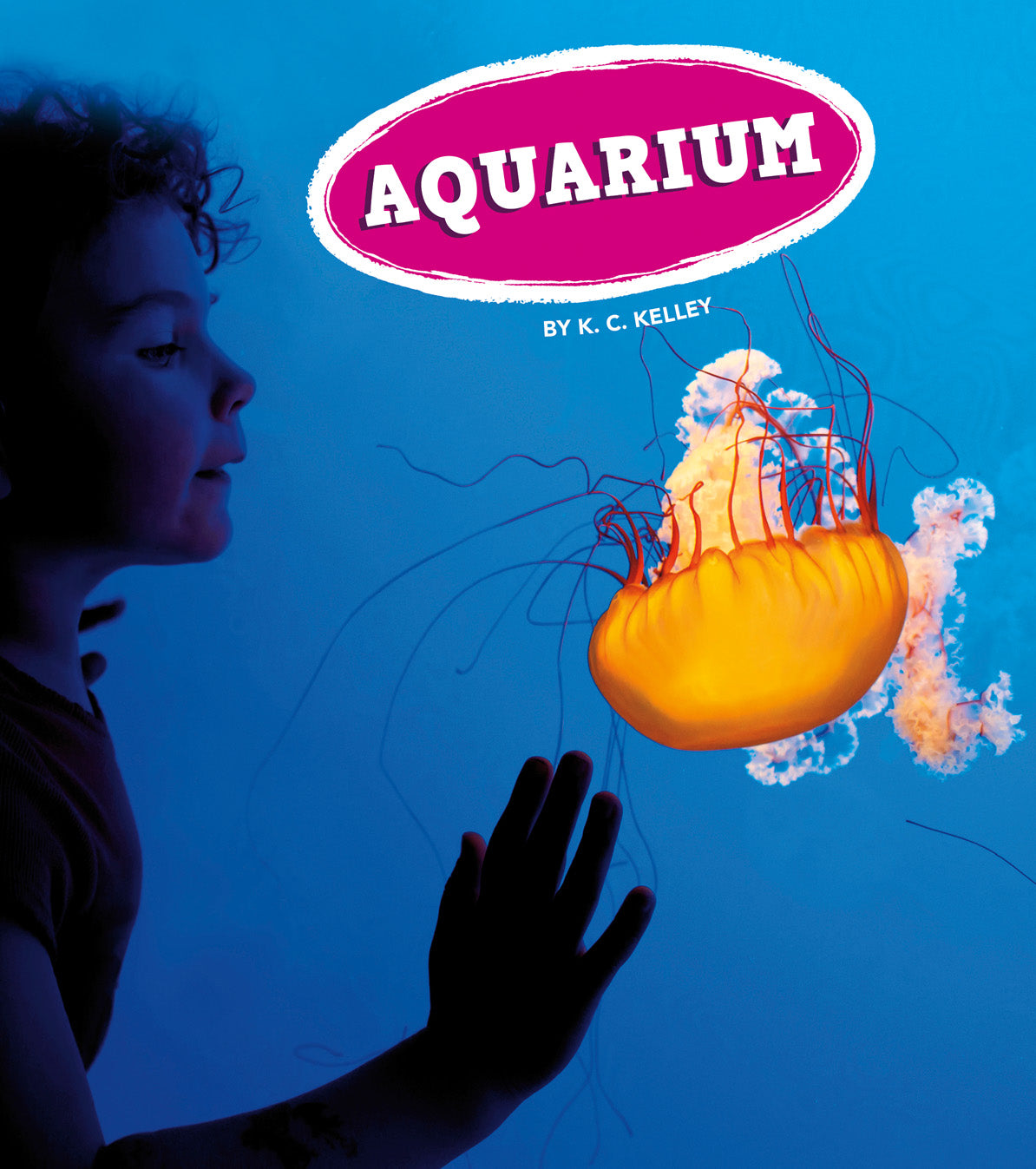 Premium Glass Aquarium Tank for Fish & Aquatic Pets - 5/10/20 Gallon Sizes - Ideal for Home, Office & Classroom Decor