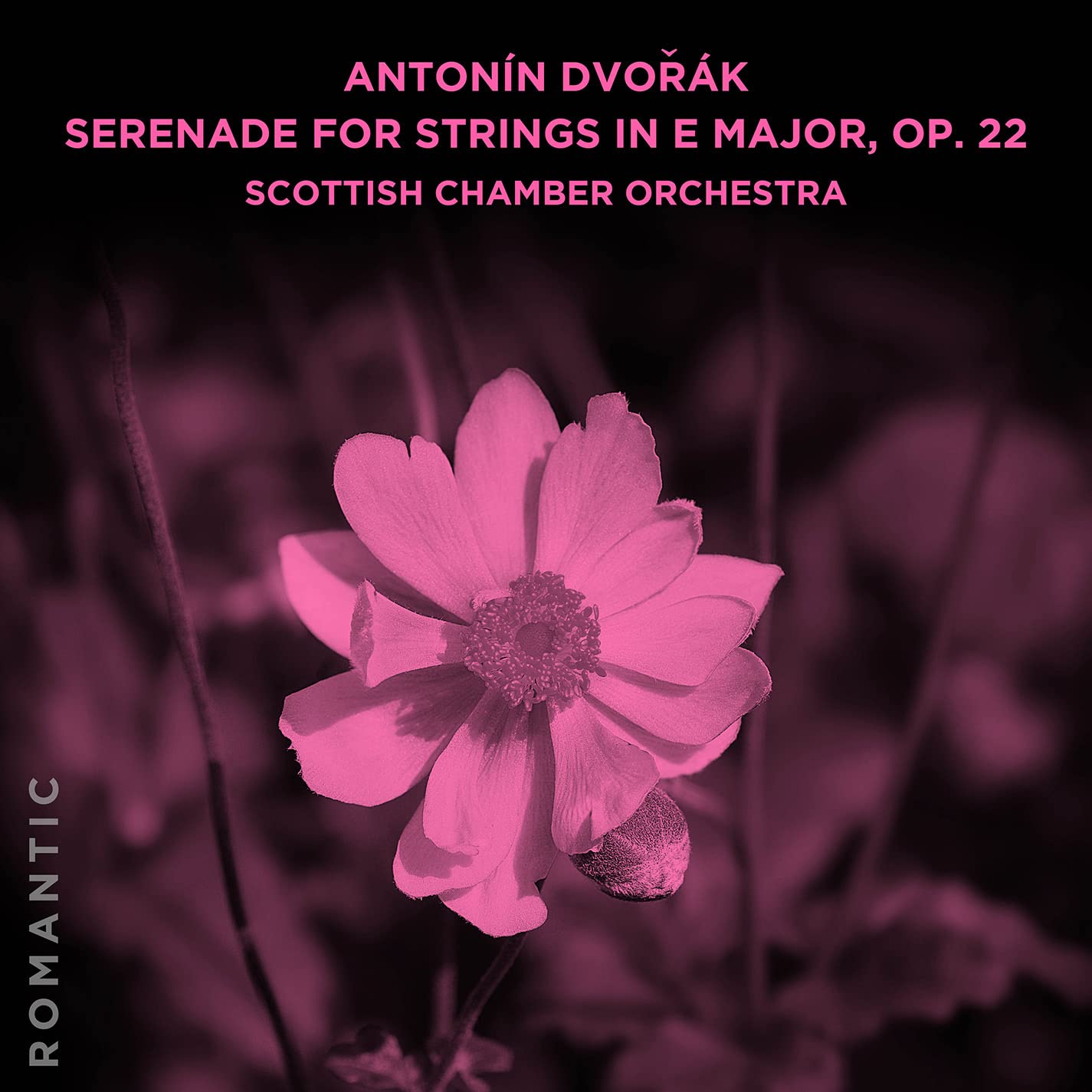 Antonin Dvorak Serenade for Strings in E Major Op. 22 - Classical Music CD for Relaxation, Dinner Parties & Study Sessions