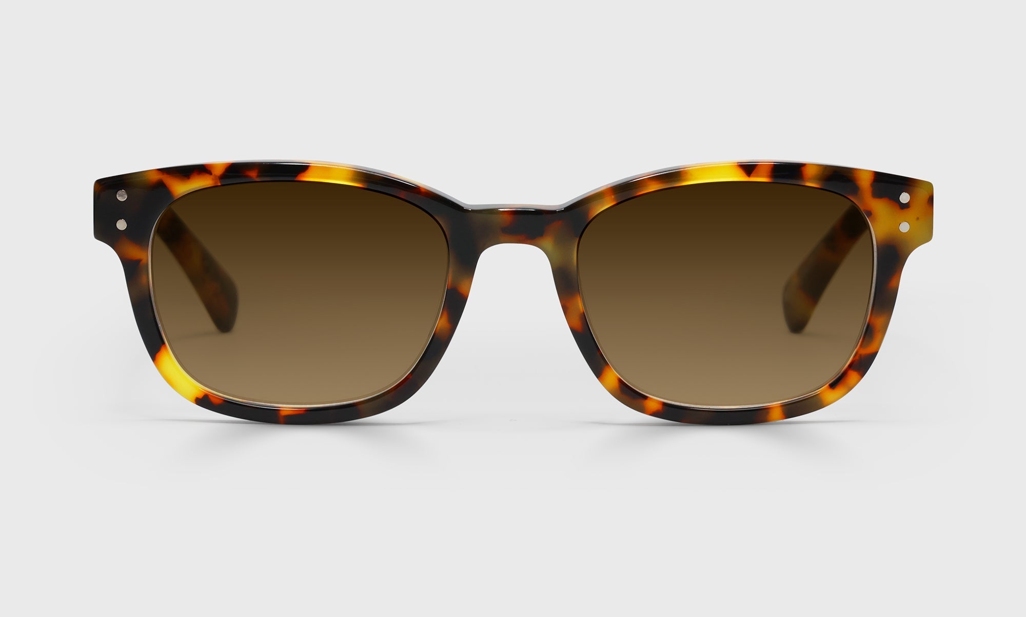 Biff Wide Prescription Glasses - Stylish & Comfortable Eyewear for Men & Women | Perfect for Reading, Working & Daily Use