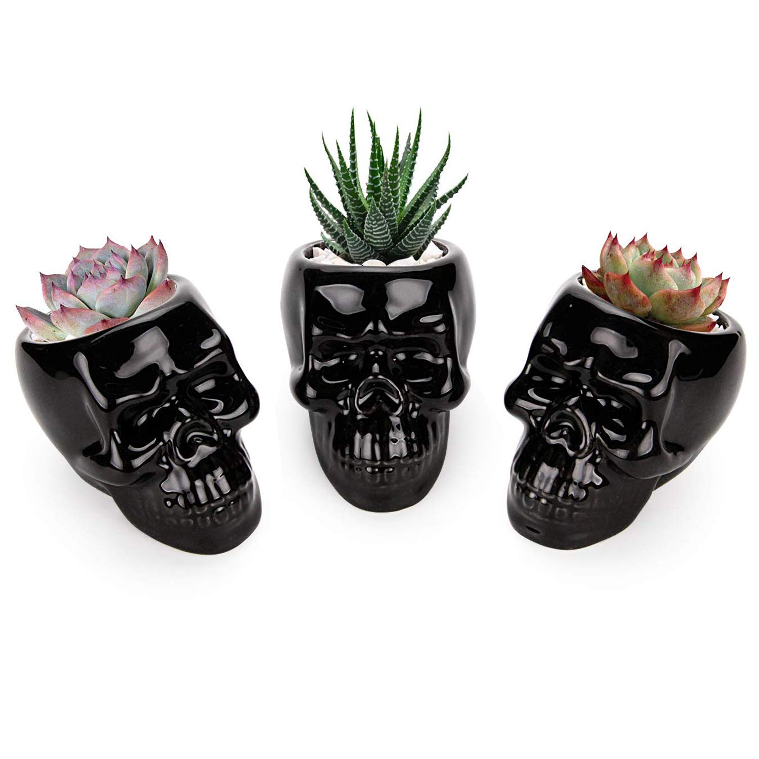 Gothic Skull Succulent Planter Set of 3 - Black Ceramic Cactus Pots with Drainage Holes, Unique Plant Lover Gifts for Christmas, Birthday & Housewarming - Perfect for Home, Office Desk Decor & Pen Holder - Ideal for Goth Decor, Halloween Decorations & Indoor Plant Displays