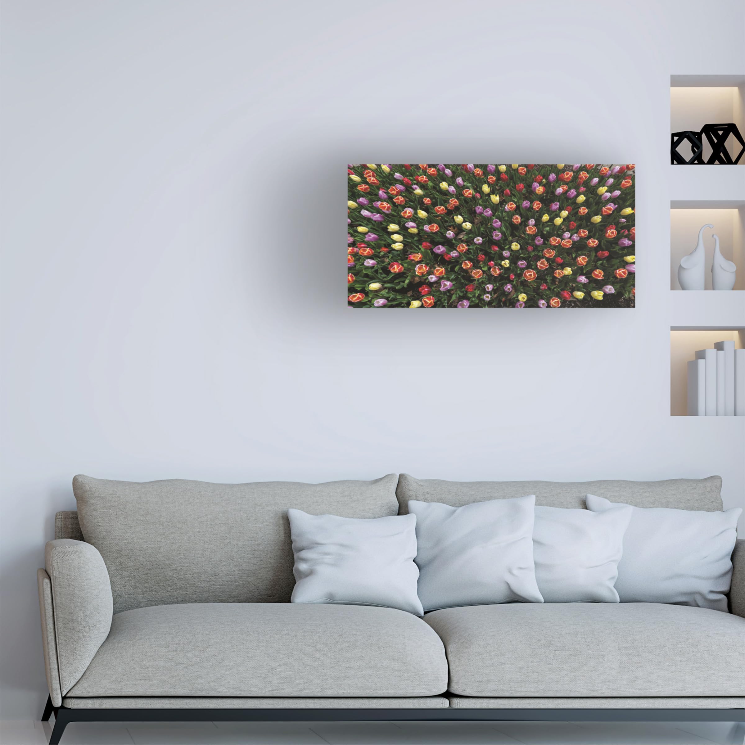 Kurt Shaffer 'Tulips From Above' Fine Art Canvas Print - Vibrant Floral Photography Wall Decor for Living Room, Bedroom & Office