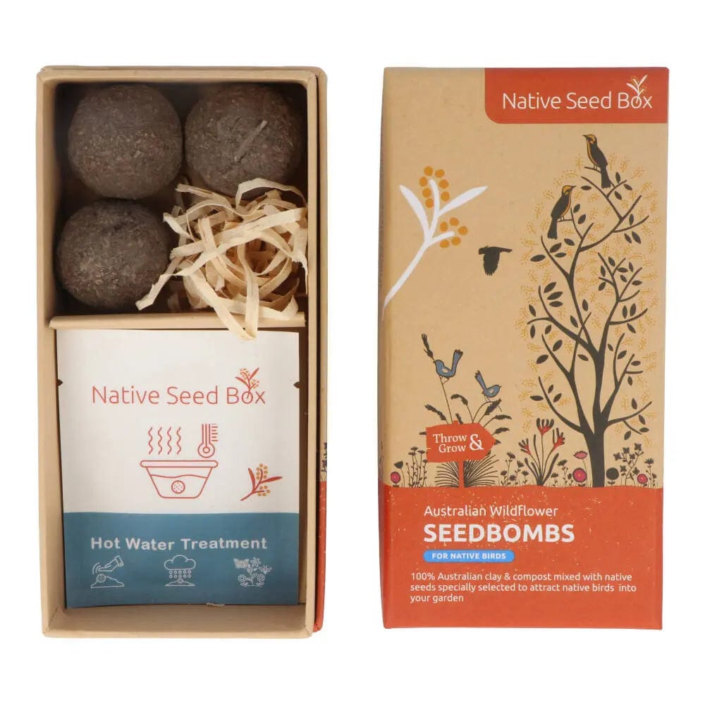 Native Seed Box Seed Bomb Collections - Wildflower & Herb Seed Bombs for Eco-Friendly Gardening, Pollinator Gardens & DIY Landscaping