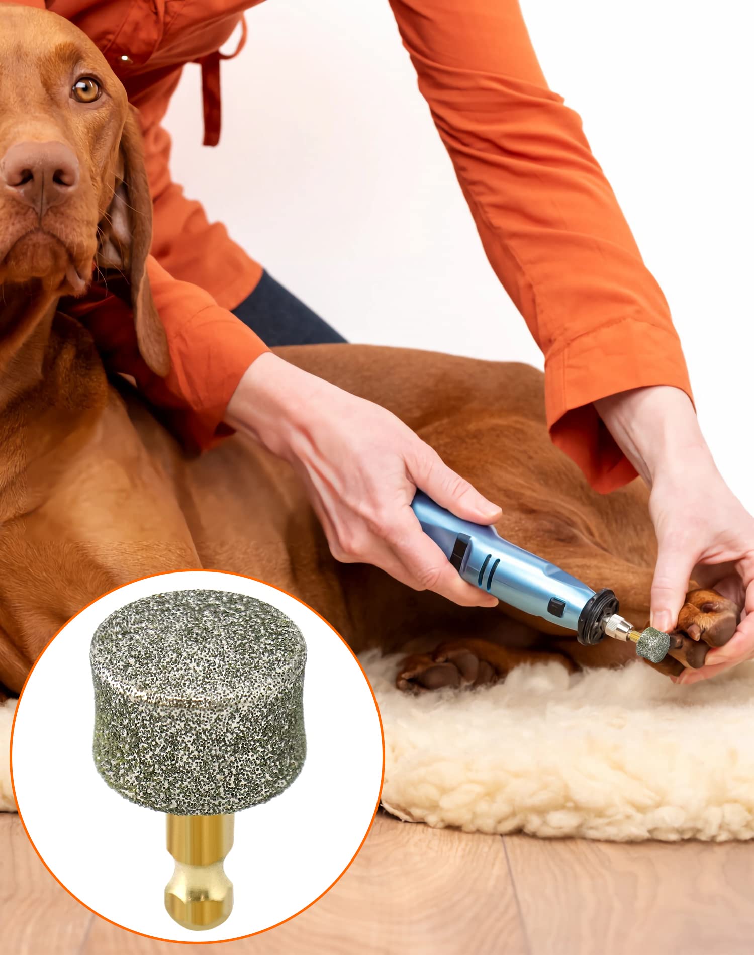 QWORK 10 Pack Dog Nail Grinder Replacement Heads - Diamond Tip Professional Spare Grinding Heads for Electric Pet Paw Trimmers - Smooth Dog Claw Grooming Accessories - Perfect for Home Pet Grooming & Professional Use