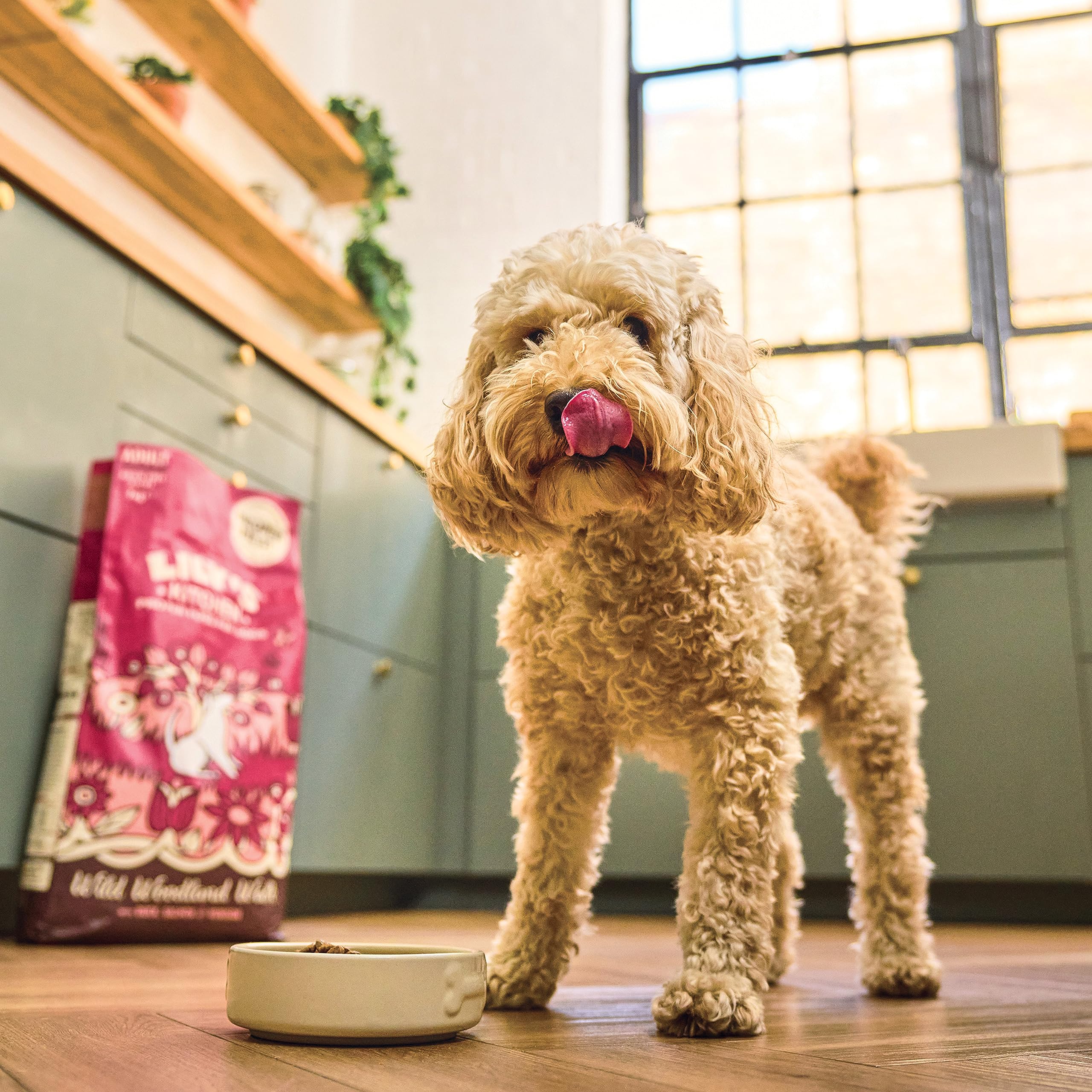 LILYS KITCHEN Venison Duck Dry Dog Food 1kg for Adult Dogs - Healthy Meal