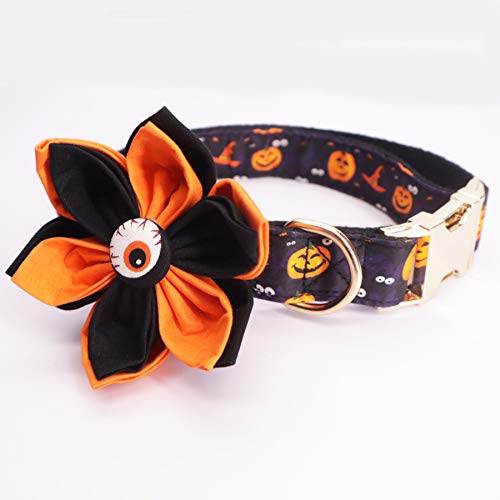 Pumpkin Flower