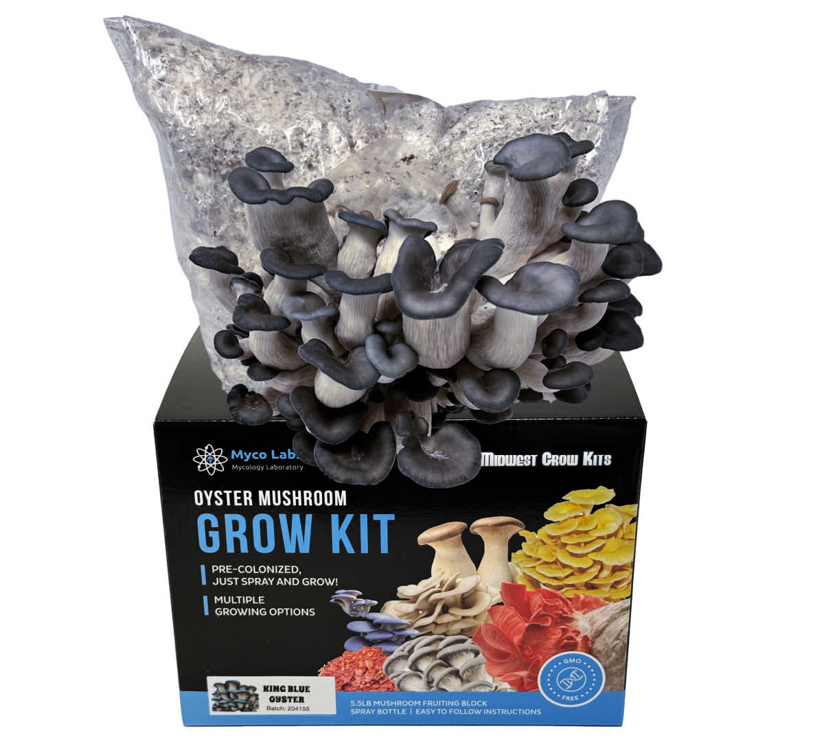 Premium Midwest Grow Kits - King Blue Oyster Mushroom Growing Kit (5 lbs) | Organic Mushroom Cultivation Supplies | Perfect for Home Gardening, Indoor Farming & Gourmet Cooking
