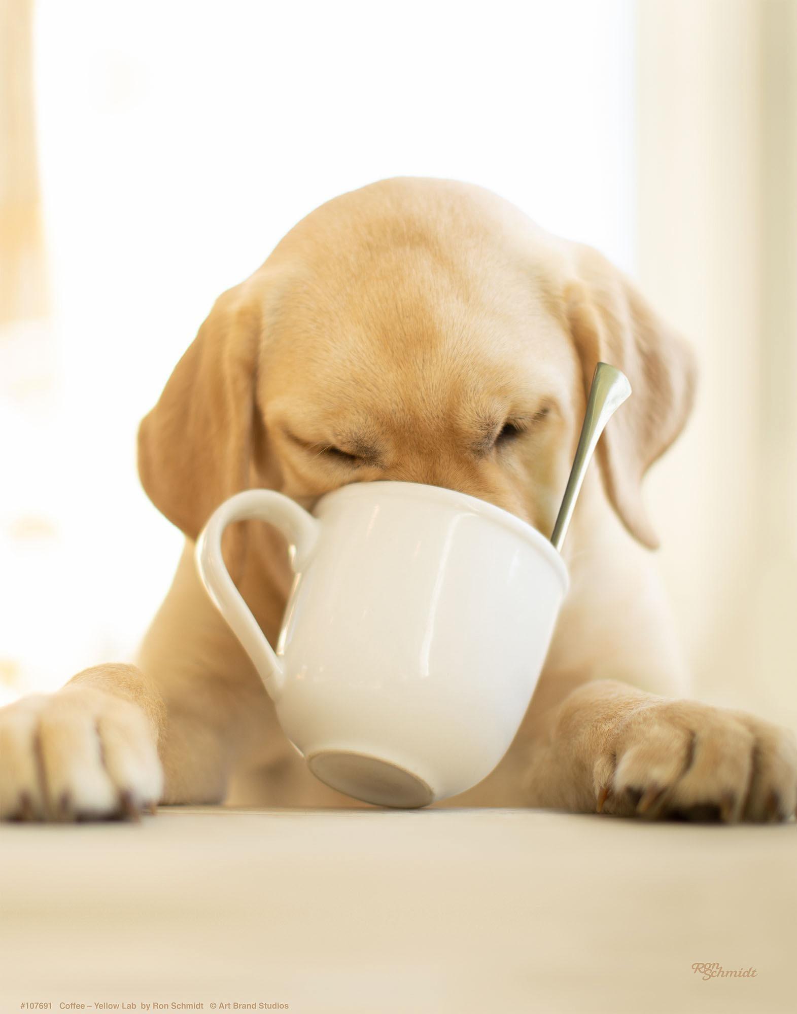 Premium Coffee Mug with Unique Art Prints - Perfect for Home, Office & Gifts | Ceramic Travel Mug for Coffee & Tea Lovers