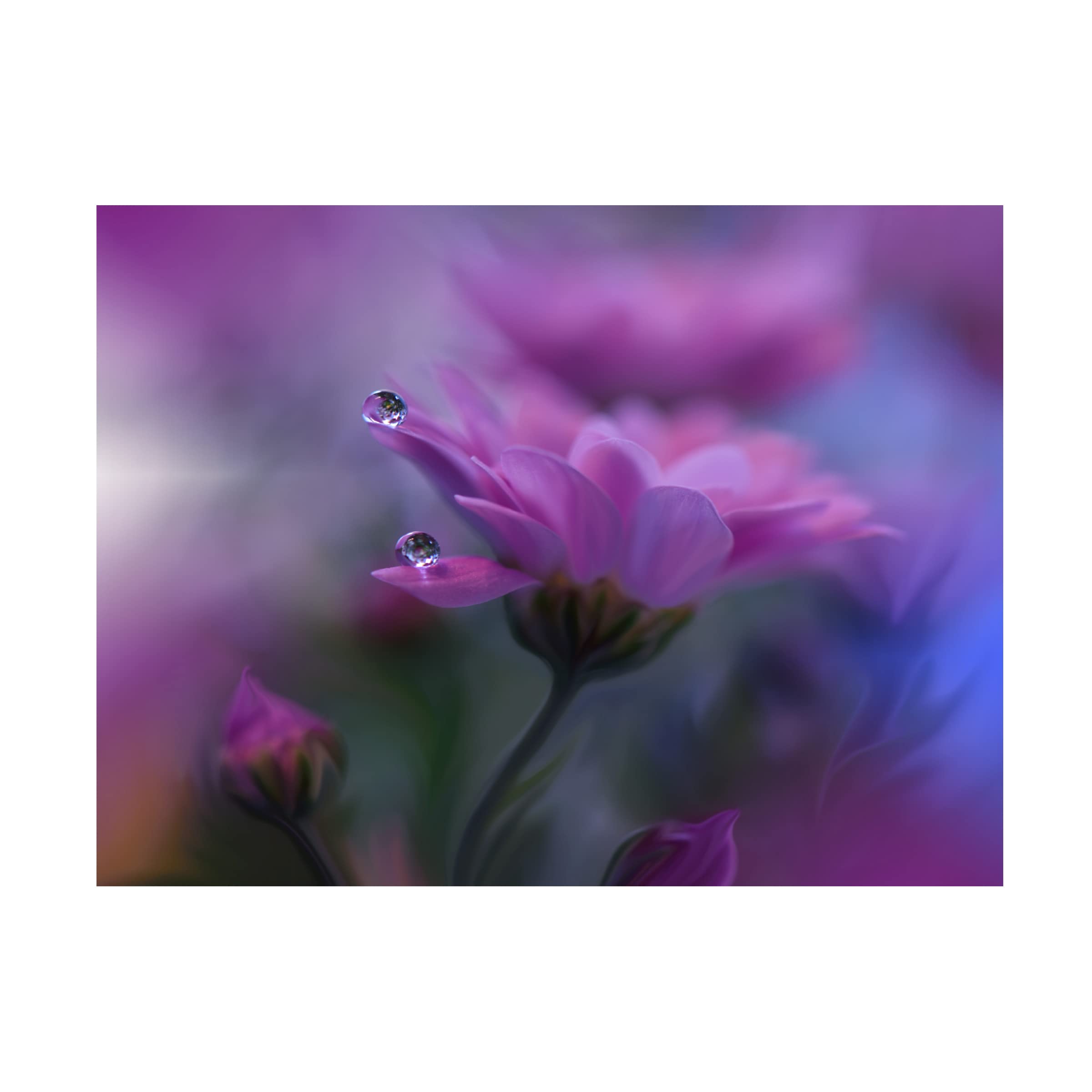 Trademark Fine Art 'All Of Me...' Canvas Wall Art by Juliana Nan - Stunning Home Decor for Living Room, Bedroom & Office