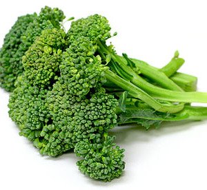 Organic Bulk Green Sprouting Calabrese Broccoli Seeds - 5 Lbs Non-GMO | High Germination Rate for Home Gardening, Microgreens & Commercial Farming | Perfect for Hydroponics, Indoor Planting & Healthy Eating