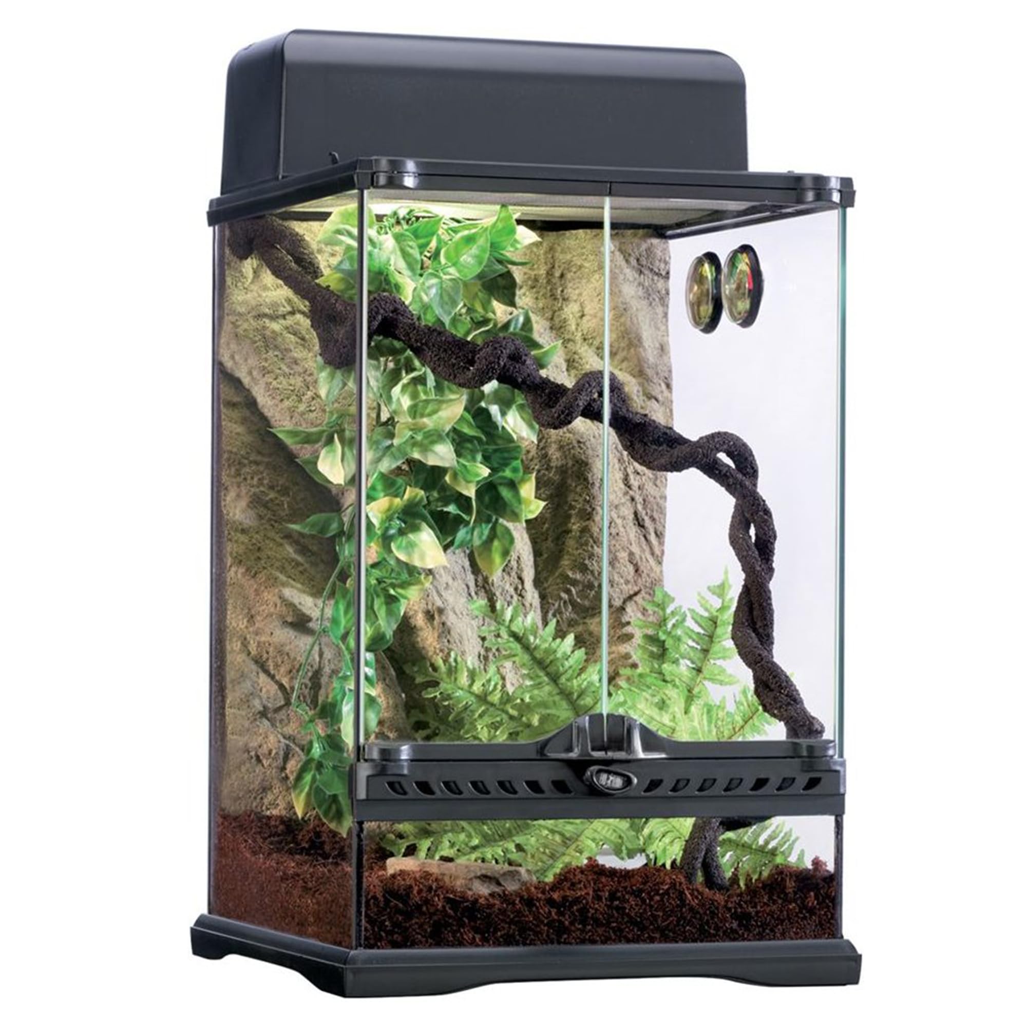 Exo Terra Rainforest Habitat Kit for Reptiles - Small Glass Terrarium with PT2602 for Geckos, Frogs & Snakes - Ideal for Tropical Pet Enclosures & Natural Habitat Simulation
