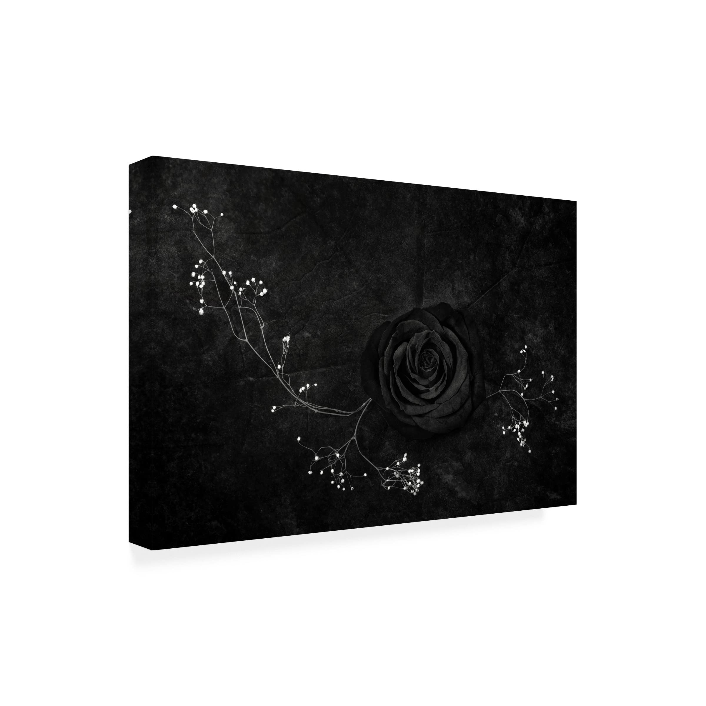 Stephen Clough 'Rose Noire' Canvas Wall Art Print - Black Rose Floral Painting for Living Room, Bedroom & Office Decor