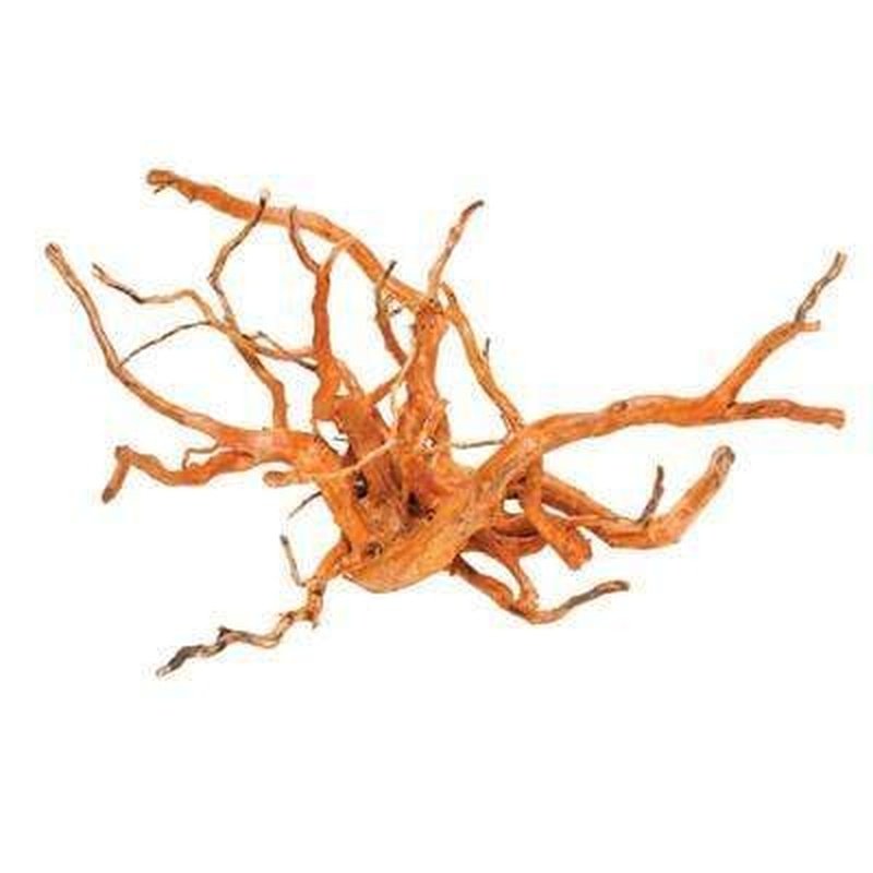 Aqua Natural Gold Vine - Premium Quality for Home Decor, Wedding Centerpieces & DIY Crafts | Organic Dried Vine for Rustic & Boho Style