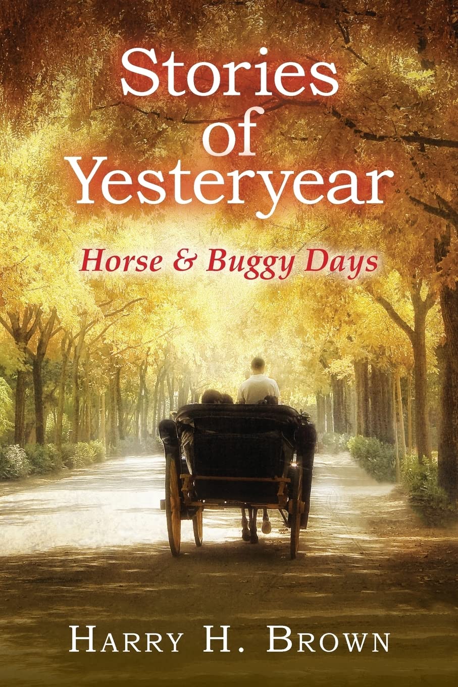 Stories of Yesteryear - Horse and Buggy Days | Vintage American History Book | Perfect for History Enthusiasts & Classroom Learning