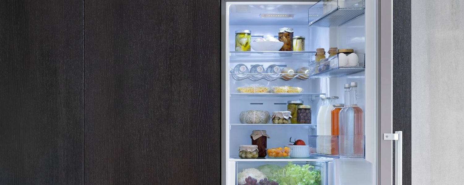Bertazzoni REF24BMFX 24 Inch Freestanding Bottom Mount Refrigerator - Stainless Steel, Energy Efficient, Spacious Design for Modern Kitchens & Open Floor Plans
