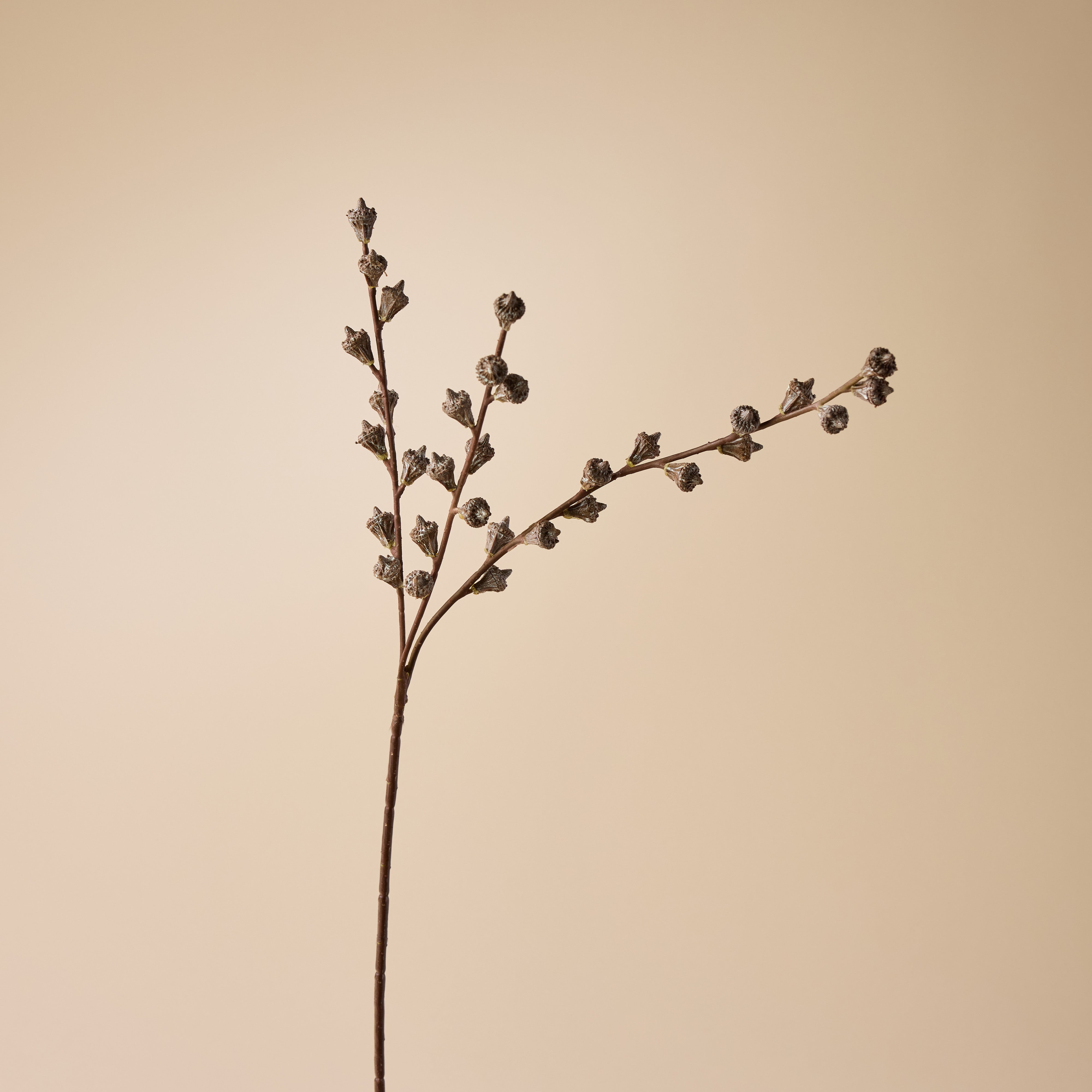 Artificial Gumnut Spray - 24.4 Inch Brown Floral Stems for Home Decor, Wedding Bouquets, and DIY Craft Arrangements