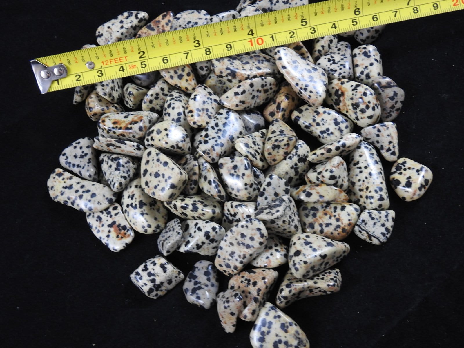 Dalmatian Jasper Tumbled Stones - Natural Polished Healing Crystals for Chakra Balancing, Meditation & Home Decor