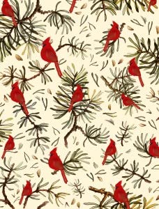 Christmas Cardinals Birds 2