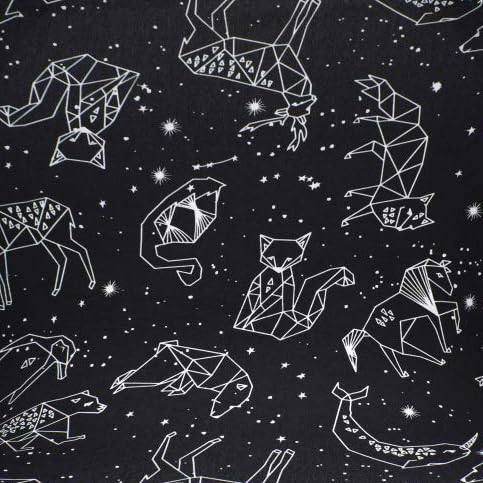 Constellation