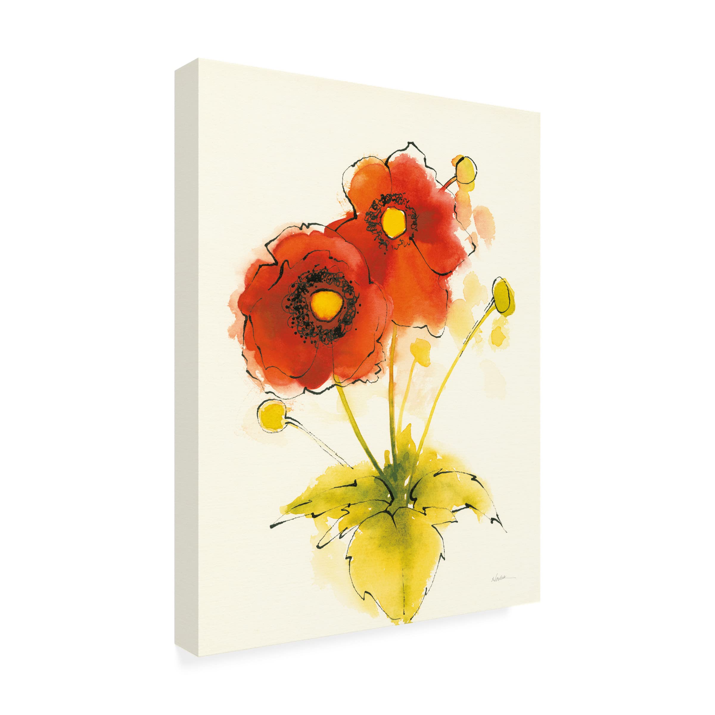 Shirley Novak 'Flores Rojas I' Canvas Art Print - Vibrant Floral Wall Decor for Living Room, Bedroom & Office - Trademark Fine Art Collection