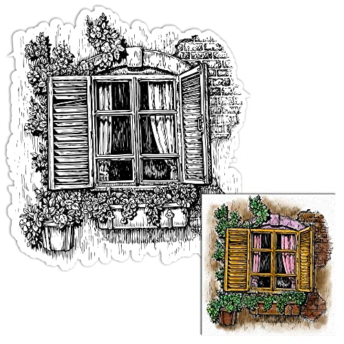 Window