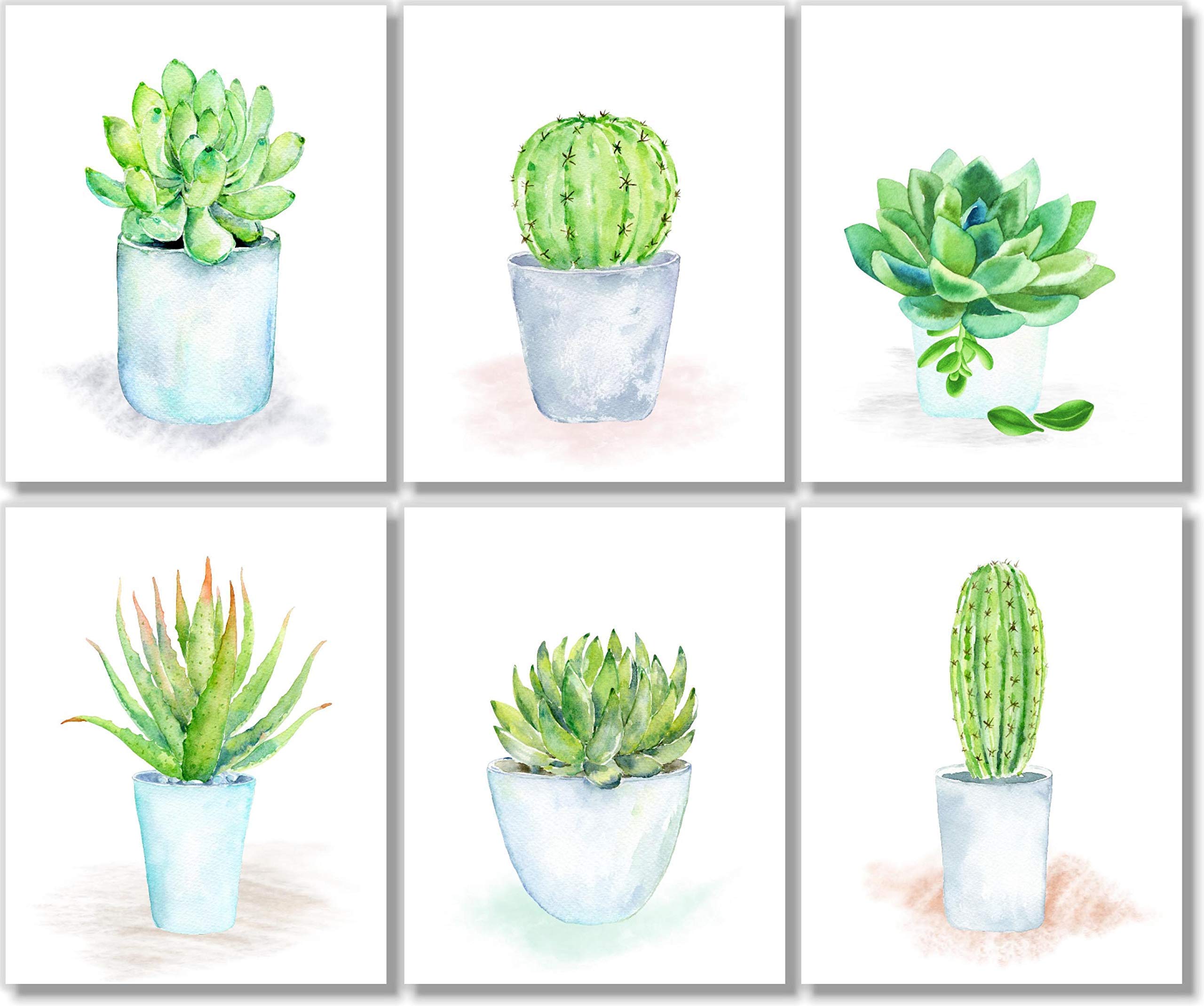 Boho Cactus Succulents Wall Art Prints - Set of 6 Unframed 8x10 Botanical Decor - Perfect for Home, Office & Nursery Wall Decoration