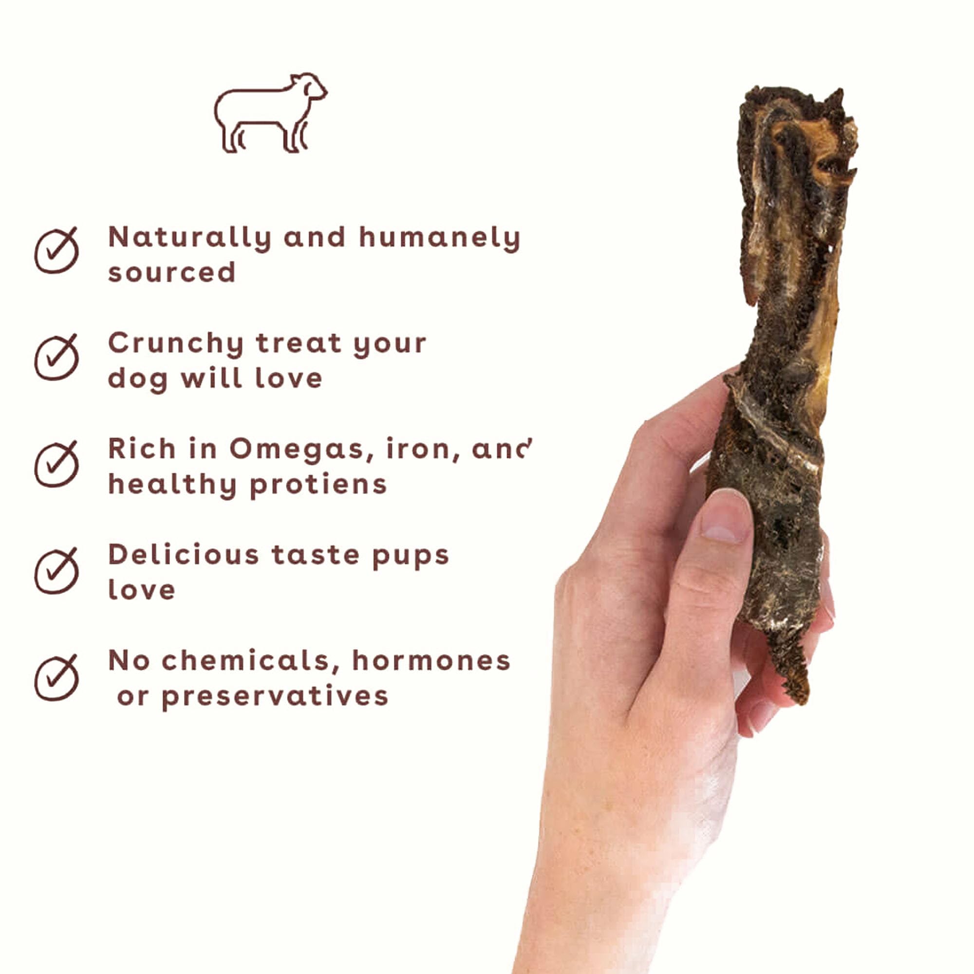 Premium Lamb Jerky Dog Treats for All Breeds & Ages | USA-Made, 100% Natural Meat, No Fillers | Healthy Training & Reward Snacks for Small & Large Dogs | Perfect for Outdoor Adventures & Home Training (4oz)