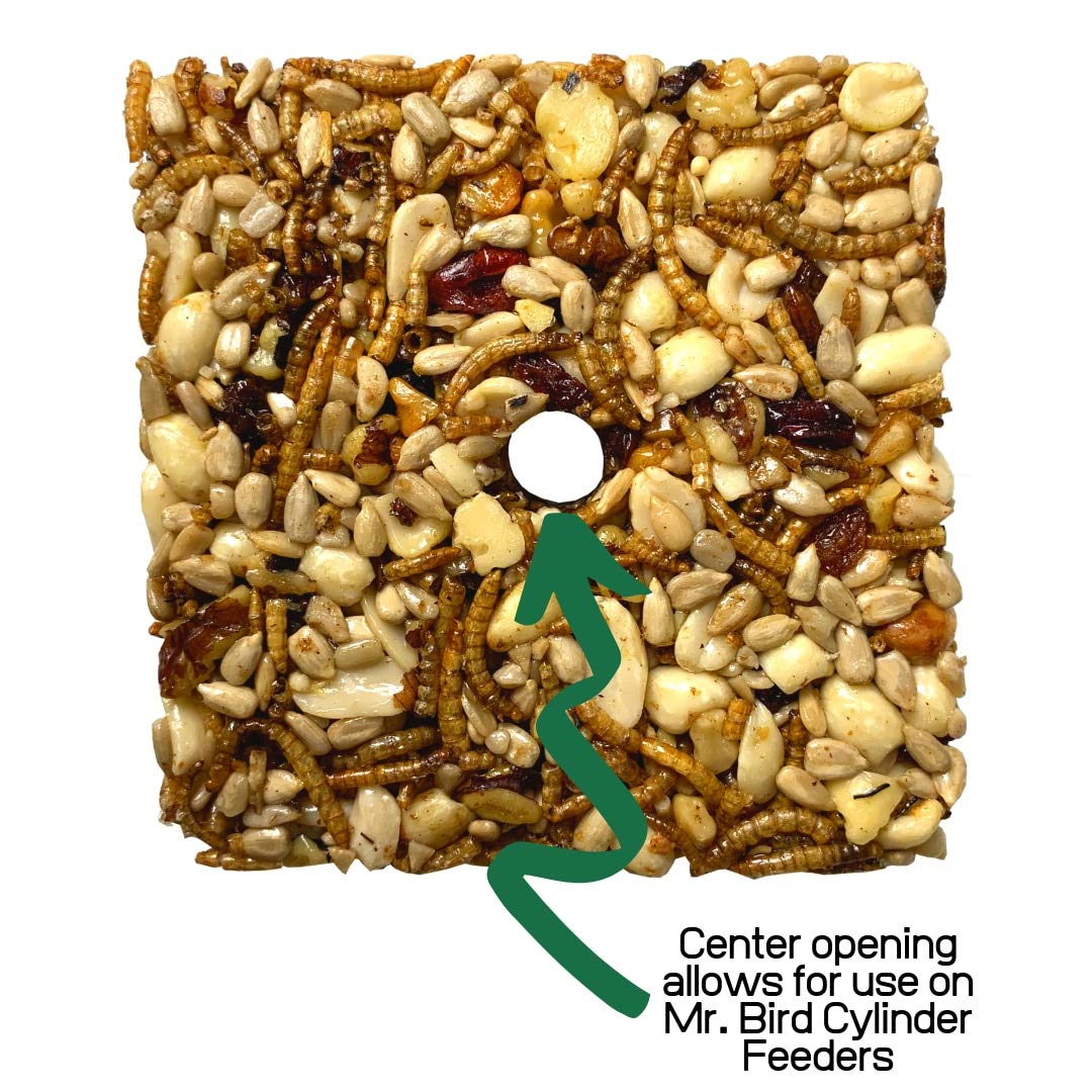 12-Pack Mr. Bird Bugs, Nuts & Fruit Wild Bird Seed Cakes - 6 oz Each - High Protein Bird Food for Wild Birds - Perfect for Bird Feeders, Backyard Bird Watching & Outdoor Nature Lovers