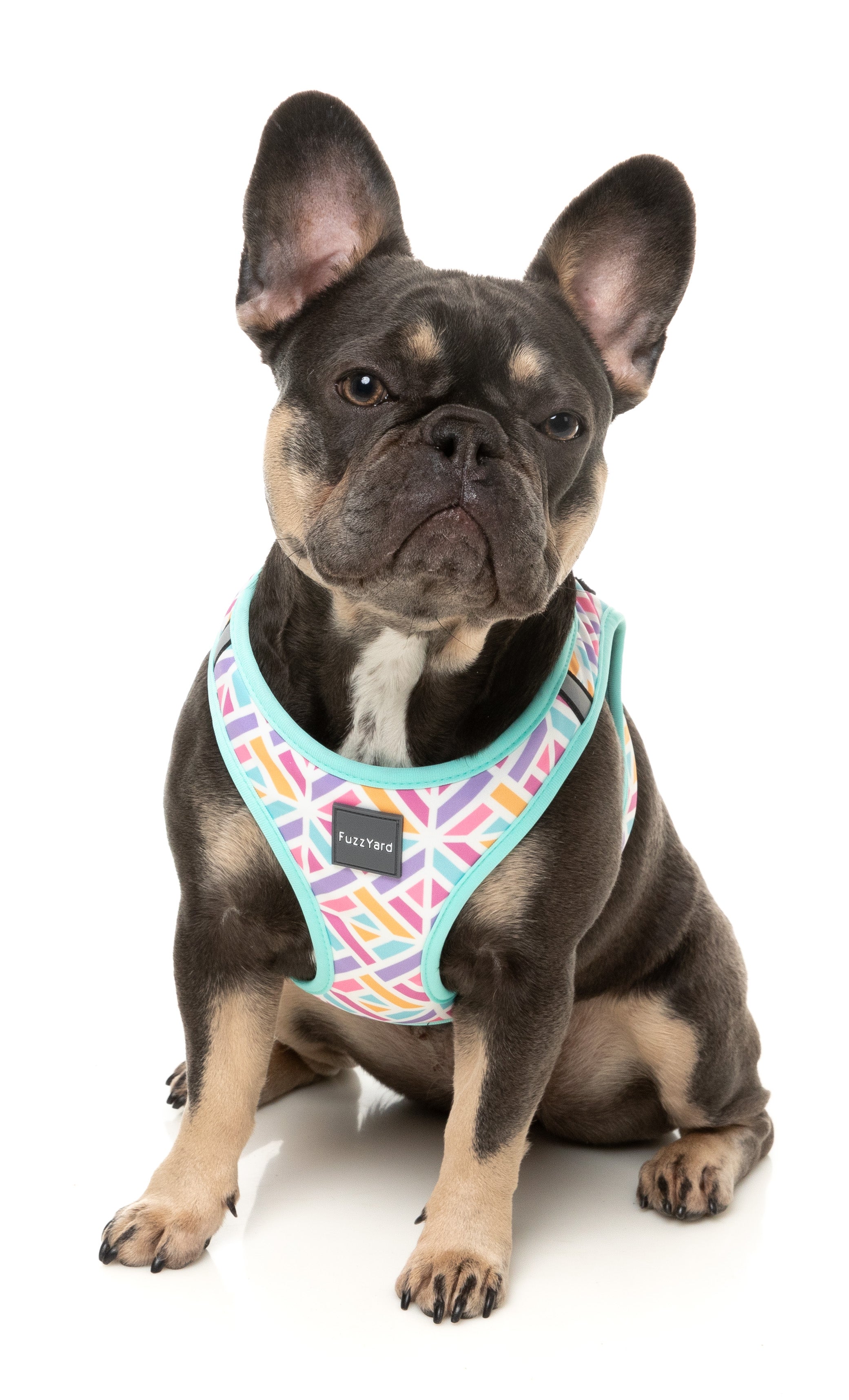 Fuzzyard Bubblegum Burst Dog Step-In Harness - Adjustable Pet Vest for Small Medium Dogs - Perfect for Walking, Training & Outdoor Adventures
