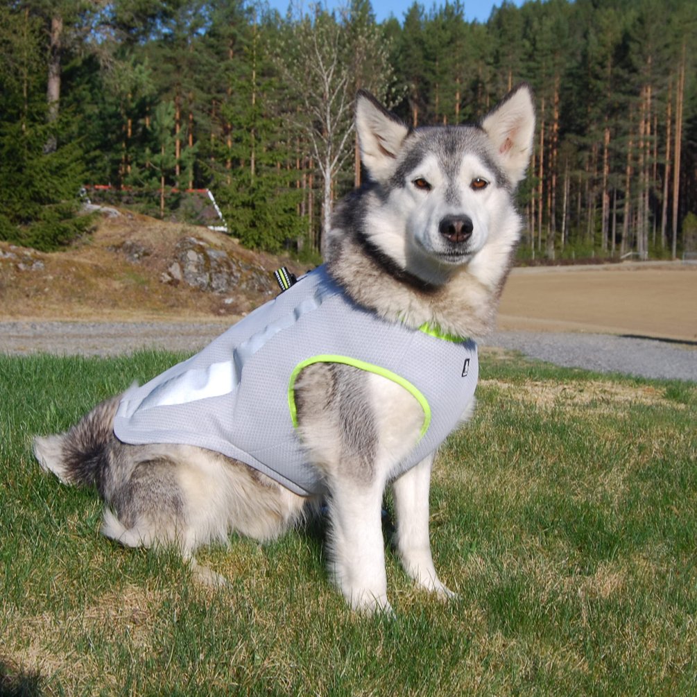 SGODA Dog Cooling Vest - Breathable Mesh Harness for Hot Weather, Grey & Orange, Large Size - Perfect for Summer Walks, Hiking, and Outdoor Adventures