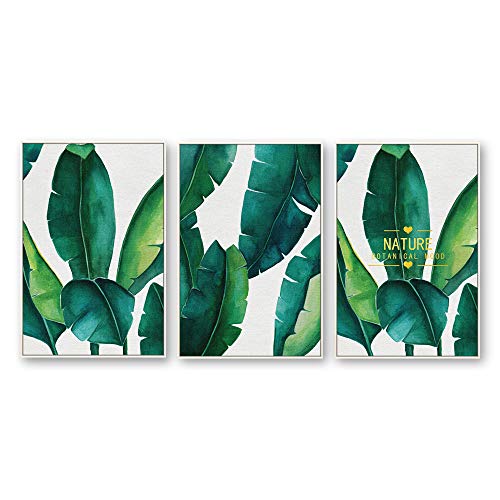 Plants-1909-n09