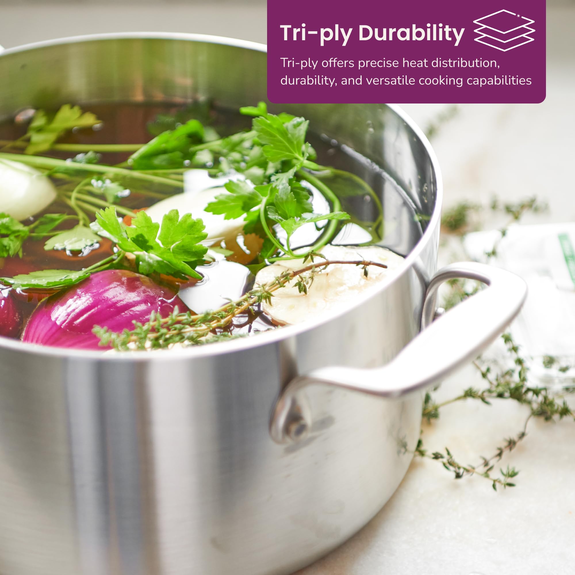 6 Quart Stainless Steel Stock Pot & Dutch Oven with Lid - Made in USA - Perfect for Soups, Stews, Pasta & Family Cooking