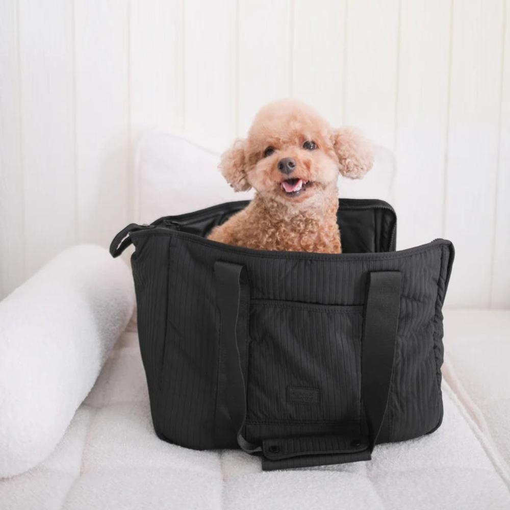 Best City Pet Carrier for Dogs & Cats - Lightweight, Durable & Airline Approved - Perfect for Travel, Shopping & Daily Commutes