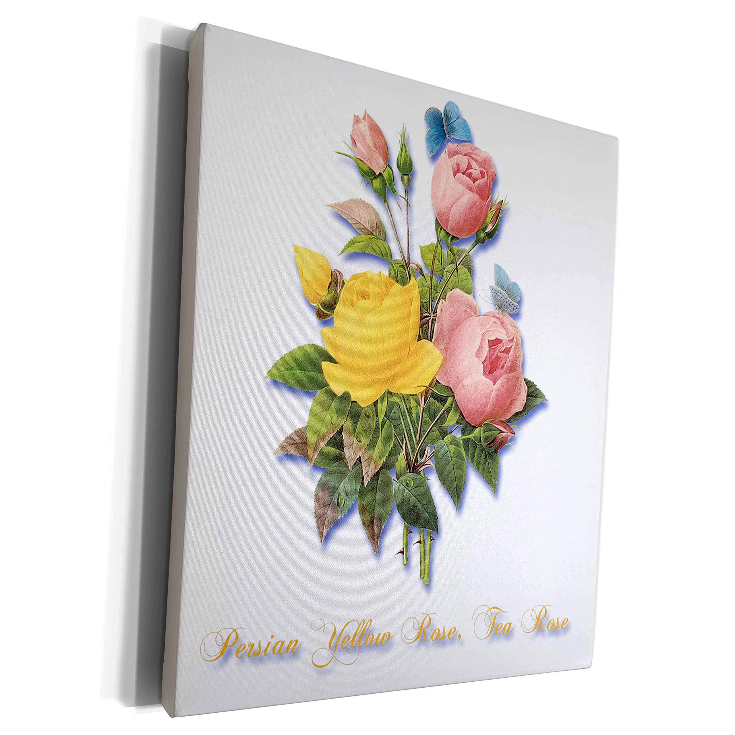 3dRose Persian Yellow Tea Rose with Blue Butterflies - Museum Grade Canvas Wrap Art Print (cw_180177_1) - Perfect for Living Room, Bedroom & Office Wall Decor