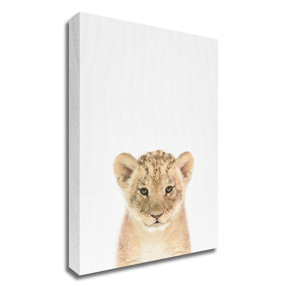 Baby Lion Canvas Print by Tai Prints - Stretched & Ready to Hang Wall Art for Nursery, Kids Room Decor, Baby Shower Gift