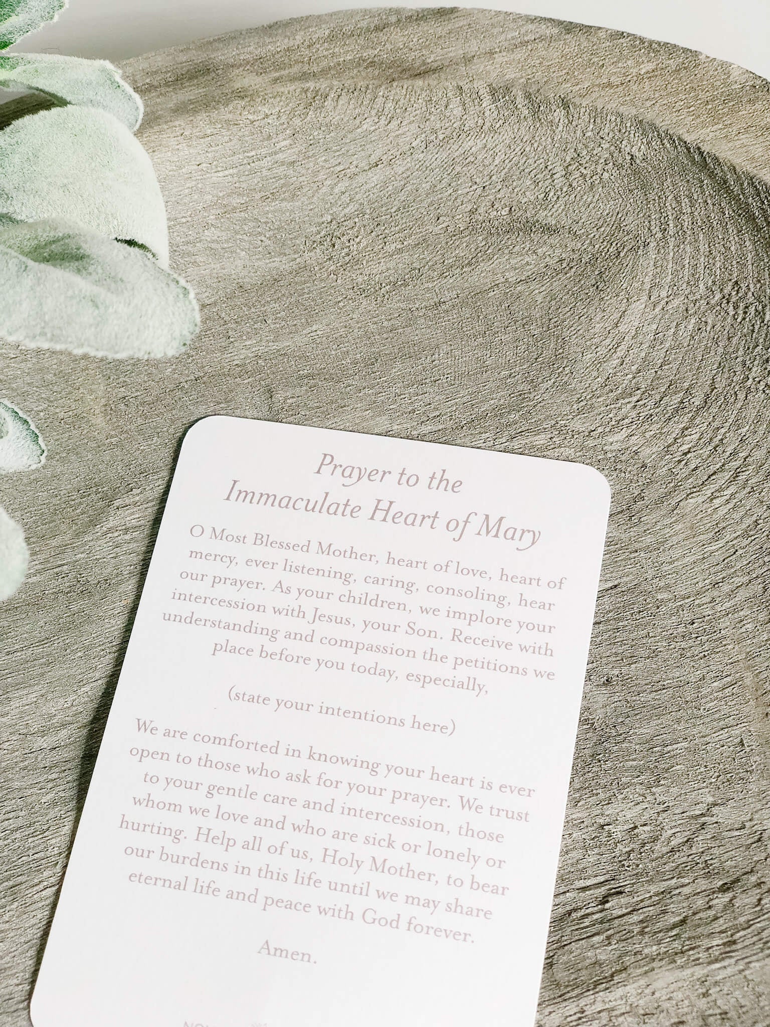 Immaculate Heart of Mary Prayer Card - Catholic Devotional Card for Prayer & Meditation - Perfect for Home Altars, Church Use & Spiritual Gifts