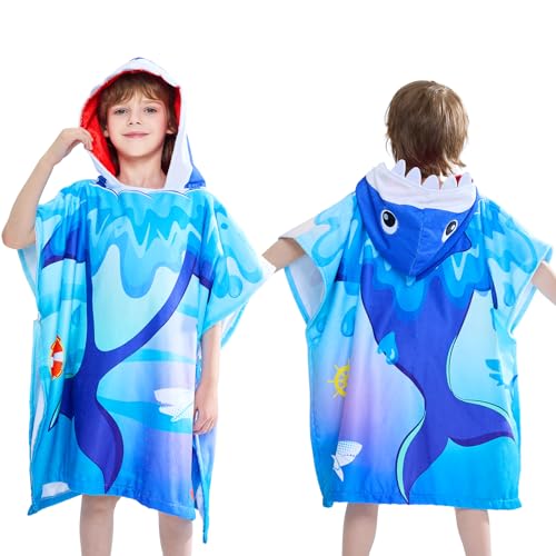 Blue Shark