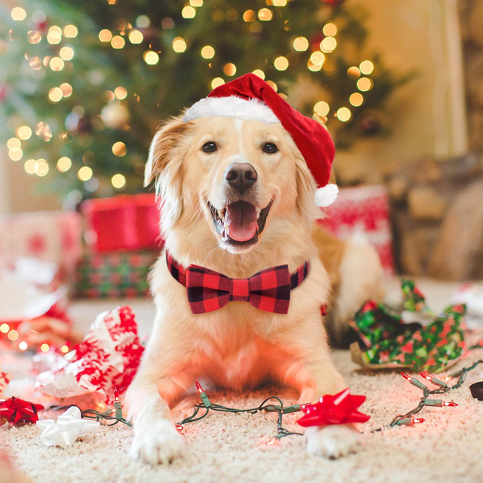 Malier 2 Pack Christmas Dog Collar with Bow Tie - Adjustable Plaid Pet Collar for Small Medium Large Dogs & Cats (Red+Black, Large) | Holiday Pet Accessories for Xmas Parties & Festive Photos