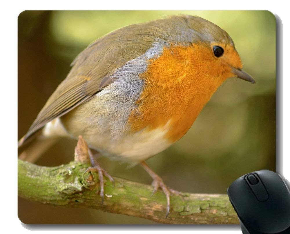 YENDOSTEEN Non-Slip Natural Rubber Mouse Pad with Stitched Edges - Robin Bird & Worm Design for Office, Gaming & Home Computer Use