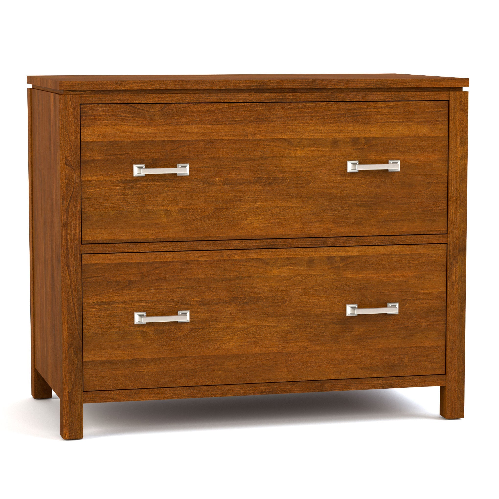 Dwyer Two Drawer File Cabinet - Metal Office Storage Solution for Documents & Folders - Perfect for Home Office, School, or Workplace Organization