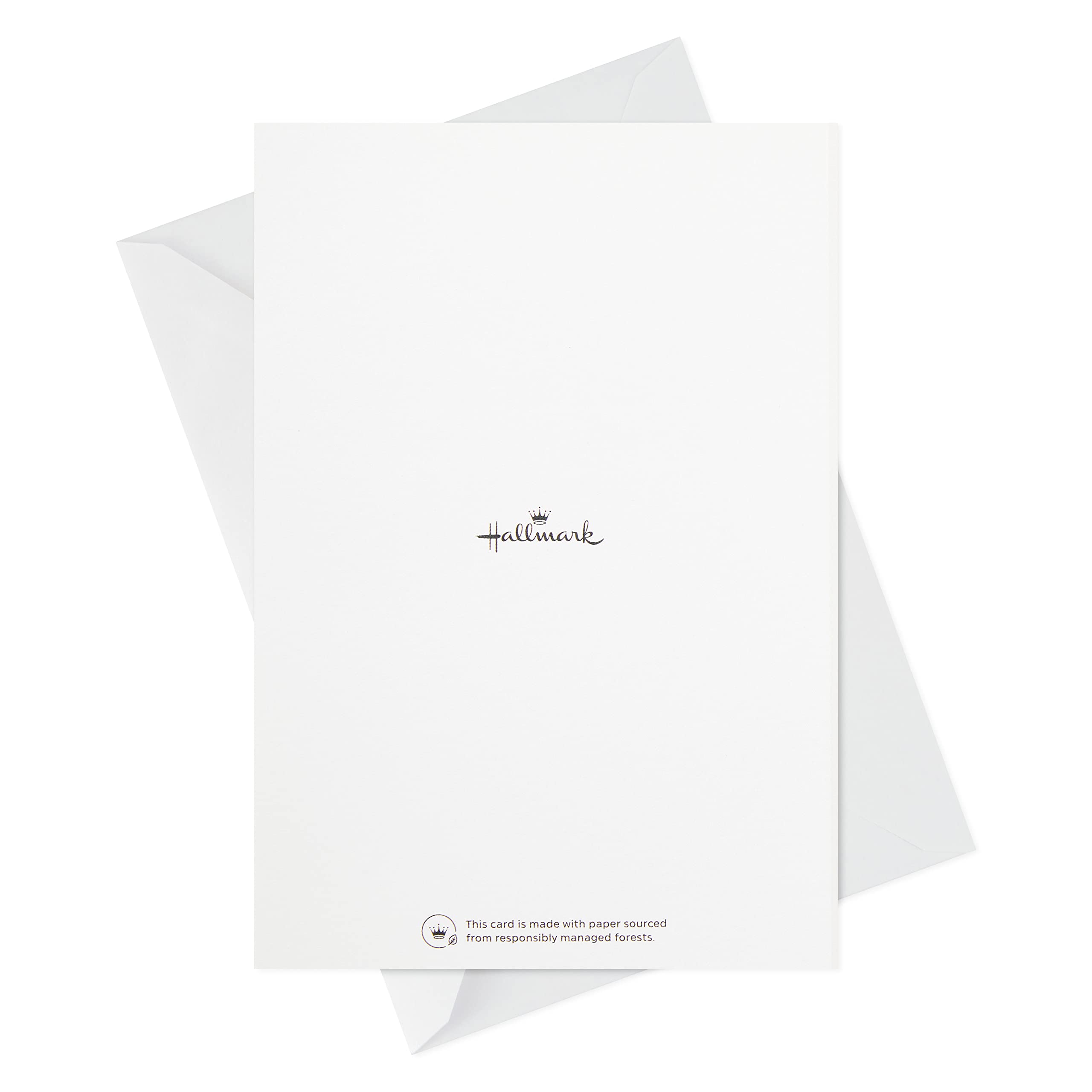 Hallmark Birthday Cards Assortment - 16 Unique Party Animals Greeting Cards with Envelopes | Perfect for Birthdays, Celebrations & Special Occasions