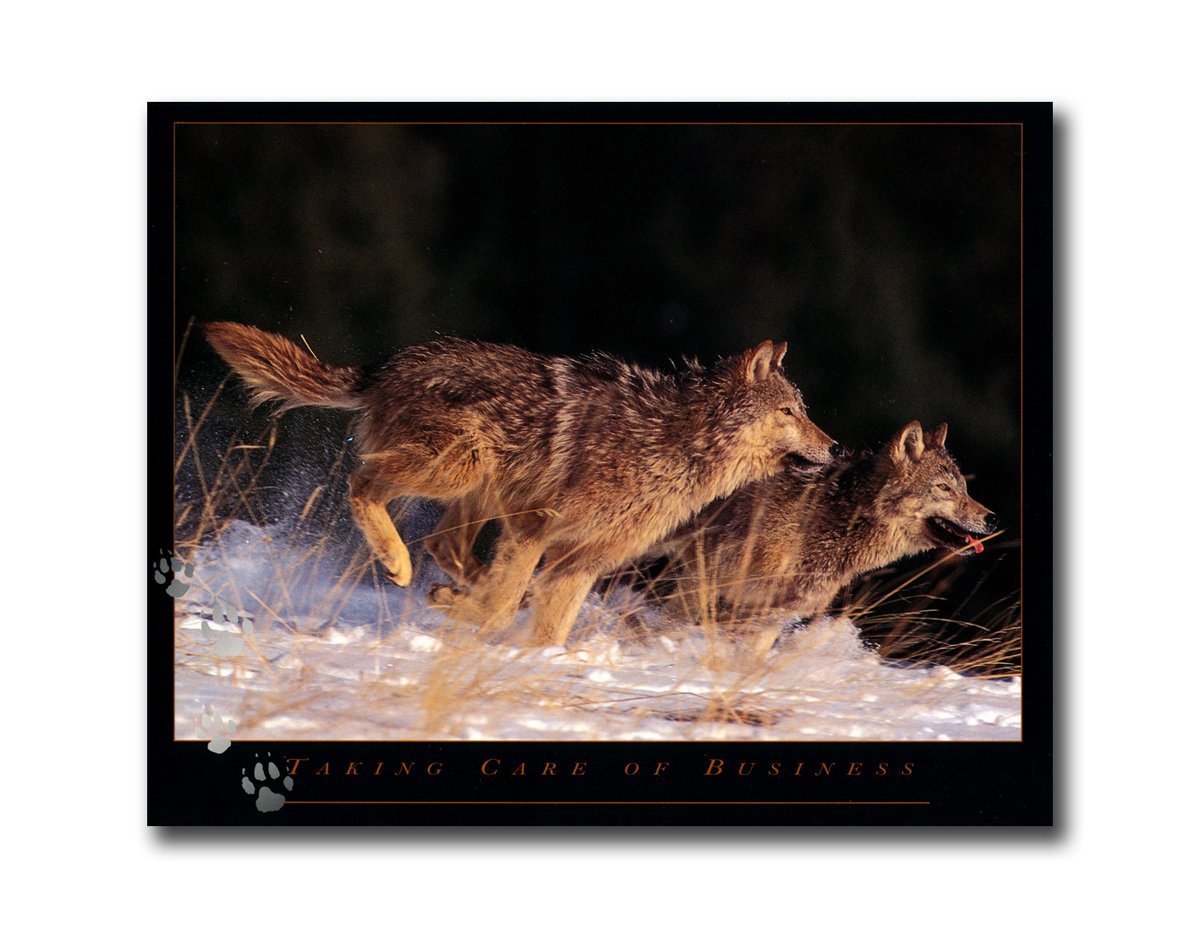 Gray Wolves Running in Snow - Wolf Wall Art Print 8x10 - Perfect for Home, Office & Cabin Decor - Wildlife Photography & Nature Lovers Gift