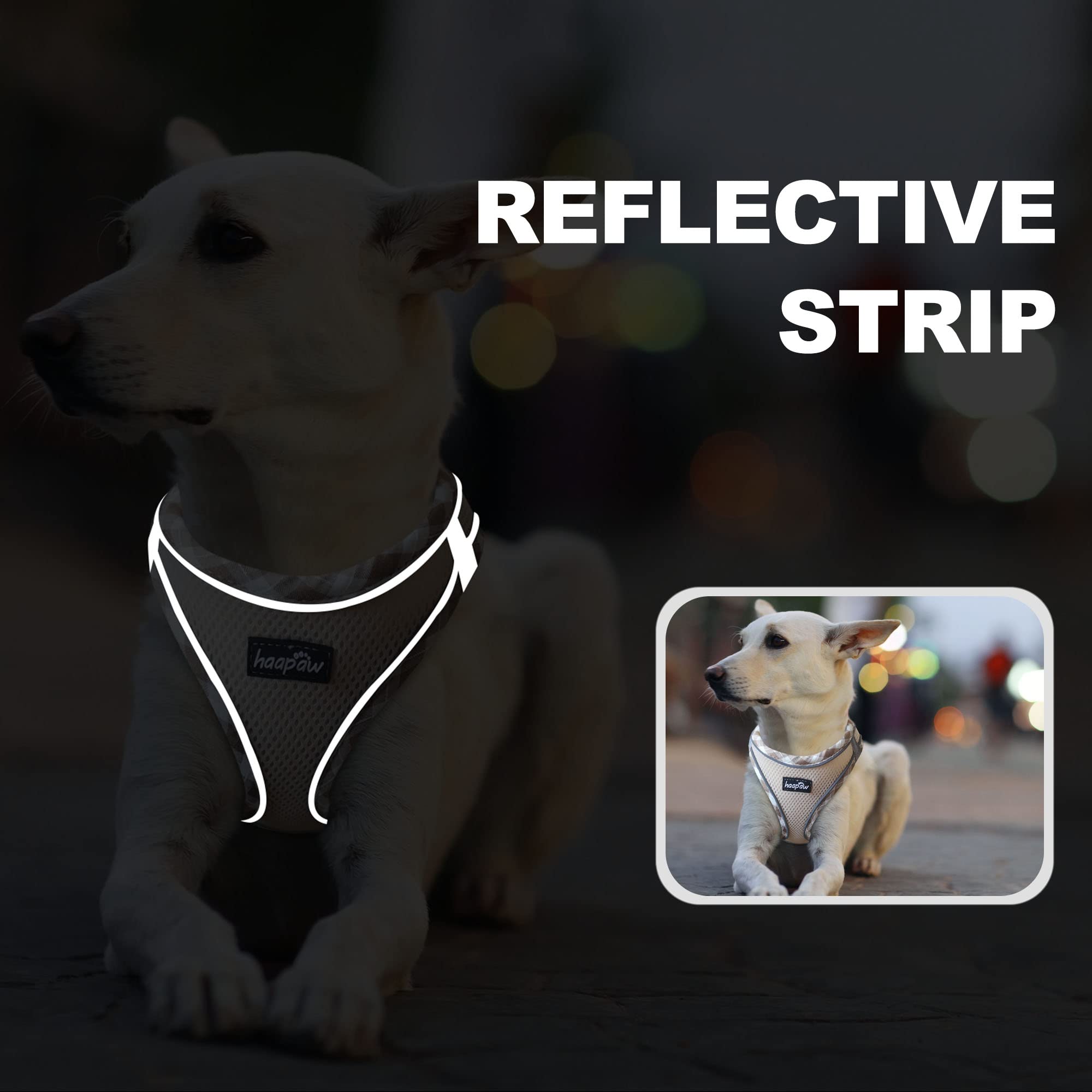**Haapay No-Pull Adjustable Reflective Dog Harness & Leash Set – Thickened Padded Vest for XS/Small/Medium Dogs – Perfect for Walking, Training & Nighttime Safety**