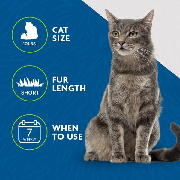 FURminator DeShedding Tool for Medium/Large Cats with Short Hair - Reduce Shedding & Hairballs - Perfect for Grooming at Home or Professional Pet Salons